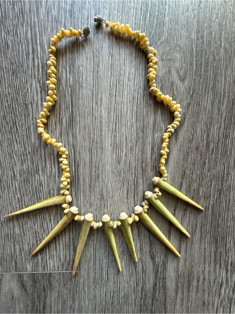 Sea Urchin Shell Necklace - Women's Beach Statement Jewelry Tahiti